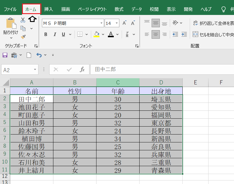EXCEL表形式のデータ